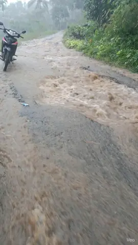 Motogp dikampung Ku seru juga #veo2  #veo3  #veo3ai  #viralvideo  #aivideoediting 