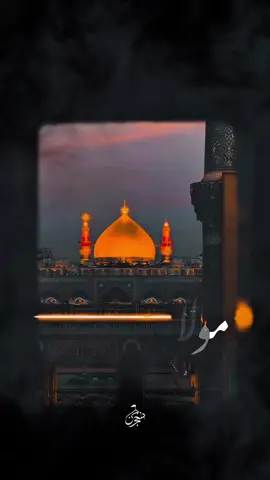 مولا مولا ❤️ #شجن #اربعين #كربلاء #حق_علي_مولا🍇 #نجف 