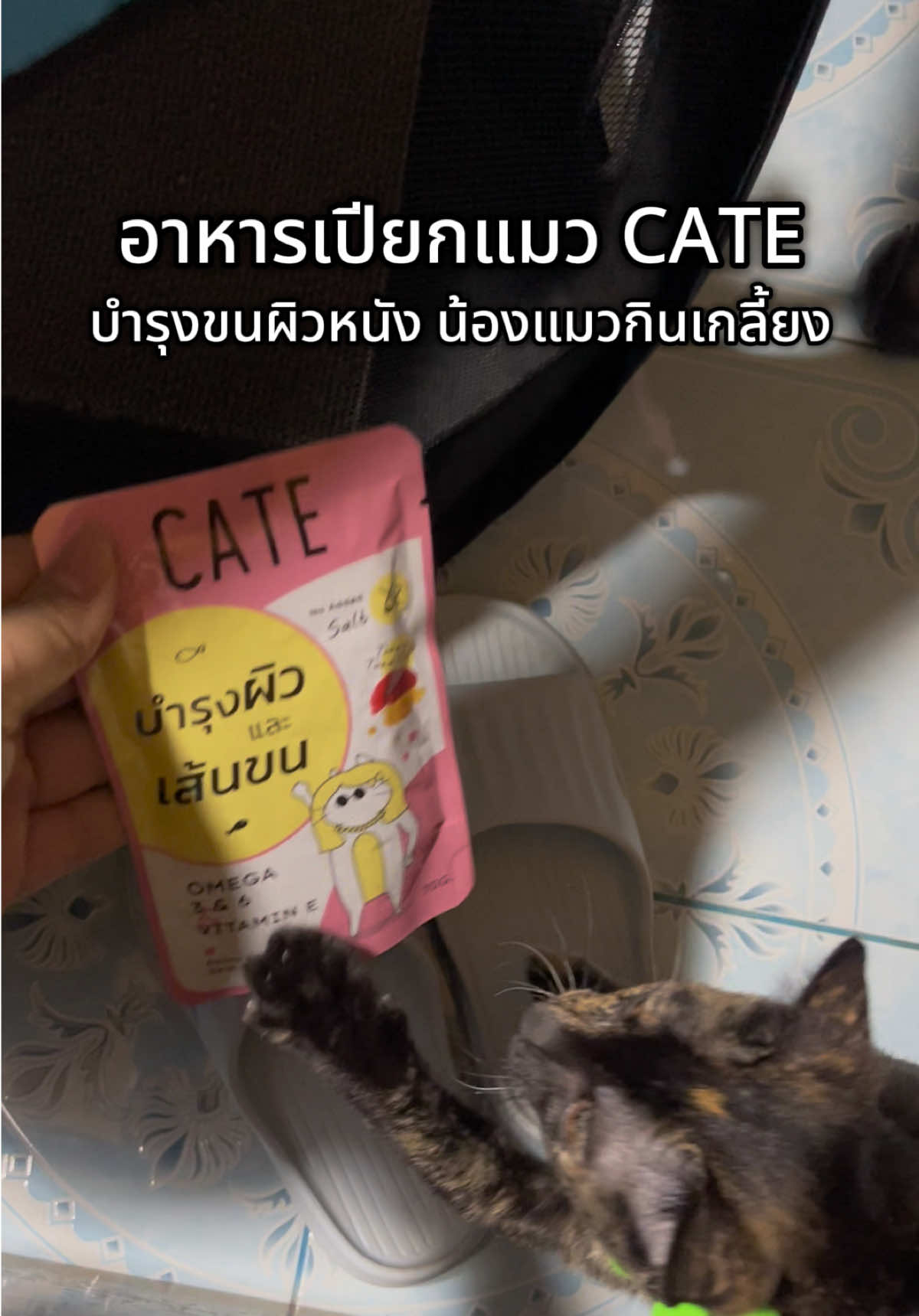 อาหารเปียกที่น้องแมวเลือก กินแล้วบำรุงขนผิวหนัง ข้าวปุยชอบมาก #cateforcat #แค่มีเคทเหมียวก็มา #เคทอาหารเปียก #อาหารแมว #อาหารเปียกแมว 