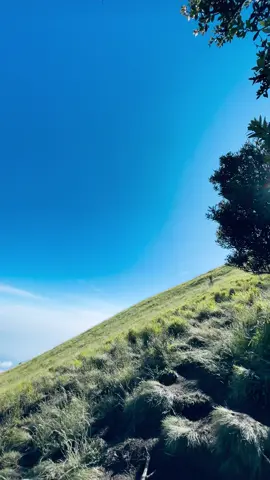 #gunungmerbabu #merbabuviasuwanting #fyp 