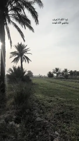 تبدا لأنك لا تعرف وتنتهي لأنك فهمت !!#شعراء_وذواقين_الشعر_الشعبي #شعر #محمد #foryou #شعراء_وذواقين_الشعر_الشعبي🎸 