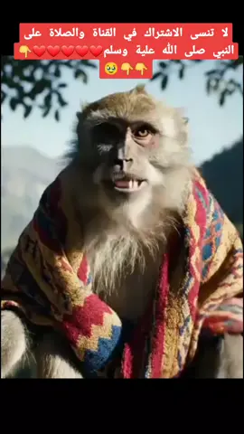 قالت بملي عينك طوالي وافقت#قرود #foryoupage❤️❤️ #fypシ゚viral🖤tiktok #fipシfipシforyou #fipシ 