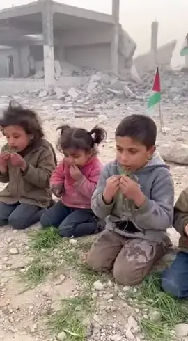 Ufff😭😭🥹#sumudflotila #sumudflotilaupdate #freepalestine #sudan #اليافعي