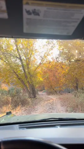 #kurdistan #kurd #nature #barzan 