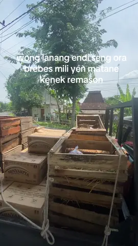 #fypberandatiktok #4upage #cepu24jam 