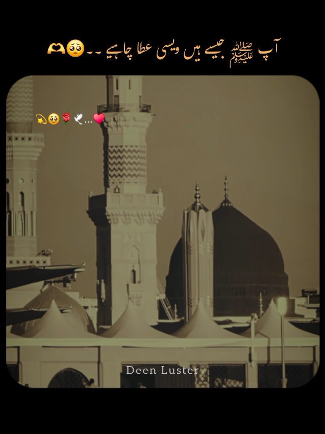 Ham ko apni talab se siwa chahye....🥺🙏 Ap ﷺ jesy hein wesi ataa chahye ...♥️ #Naat #madina #fypageシ #foryoupage❤️❤️ #videoviral 