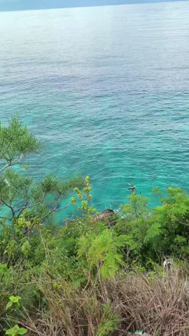 apa ini cumi?🤔 #anglerfish #anglerindonesia #mancingliar #fypシ゚ #lewatberandamu 