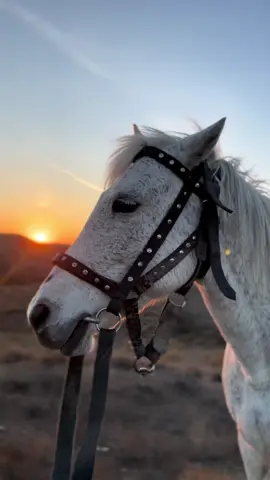 Ay ilk məhəbbətim ❤️ #kəşfet 