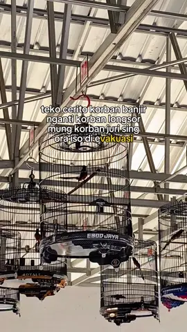 #CapCut justkonten🤪🙌🏻#muraibatu #muraibatumania #kicaumania #fyp 