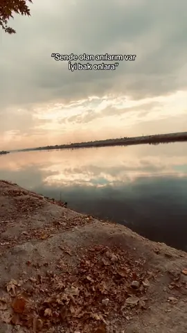 İyi bak. #miceyy #storytime #fypツ 