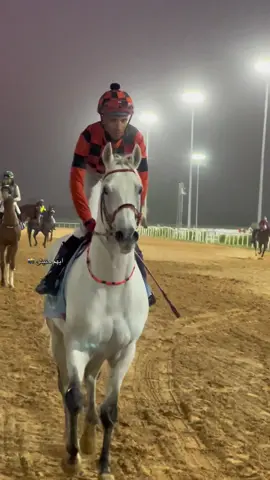 #خيل_وخياله🐎 #ايهم_حنيش📸 #الرقم_الصعب🔥👑 #شعب_الصيني_ماله_حل😂😂 #الهيئة_الليبية_لسباق_الخيل  @𝑵𝑨𝑺𝑹 𝑨𝑳-𝑾𝑨𝑹𝑭𝑨𝑳𝑳𝑰  @ايهم حنيش 📸 