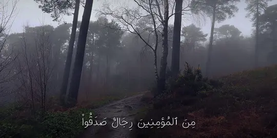 الاحزاب - #quran #quran_alkarim #قران_كريم #محمد_ايوب #قران 