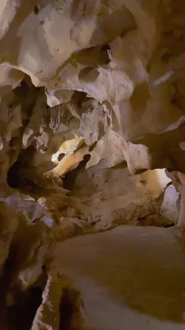 #malaga #ricondelavictoria #cuevadeltesoro #viajesporespaña #rutaspormalaga                         La Cueva del Tesoro no es accesible en su totalidad. La mayoría de la zona de la cueva son de dificultad baja. Existe la opción de bajar a la primera sala en ascensor, por lo que el acceso para personas con movilidad reducida se limitaría a dicha sala. El resto de la Cueva contiene diferentes tramos de escaleras. La visita se realiza con una audioguía que se puede descargar de manera gratuita en su propio dispositivo móvil, por lo que se recomienda el uso de auriculares. Dispone de entrada gratuita reservadas previamente en la web oficial, de lunes a viernes a las 10:00 en horario de invierno y a las 10:30 en horario de verano. El horario de acceso en la temporada de invierno (del 1 de octubre al 30 de abril) es de 10:00 horas a 13:00 horas y de 15:00 a 17:00 horas. El cierre de las instalaciones será a las 14:00 en horario de mañana y a las 18:00 en horario de tarde. El horario de acceso en la temporada de verano (del 1 de mayo al 30 de septiembre) es de 10:30 a 13:00 horas y de 16:30 a 19:00 horas. El cierre de las instalaciones será a las 14:00 en horario de mañana y a las 20:00 en horario de tarde. Los días 24, 25 y 31 de diciembre, y los días 1 y 6 de enero, la Cueva del Tesoro permanecerá cerrada.