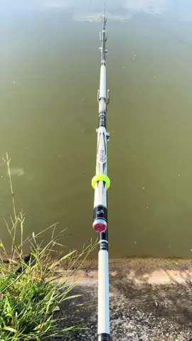 Mùa khoai sắn bắt đầu 😃😃😃 #fishing #xhhhhhhhhhhhhhhhhhhhhhhh 