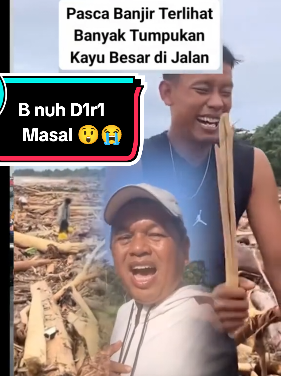 Kang Dedi mulyadi  Pohon roboh  Kayu gelondongan #kangdedimulyadi #kayugelondongan  #penebanganpohon #bencanaalam #sumatera 