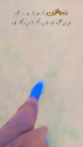 لاکھ منافقوں کے ہوتے ہوئے بھی 