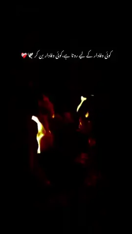 haqiqat h yeh👀❤️‍🔥🥹                         #dard_e_muhabbat🥀 #viralvideotiktok #views #fypシ゚viral #tiktok #foryoupage #sitarajahan🌟 #foryoupage #fyp #broken heart 💔💔💔 #trending #antalhayat🌺🖇️ 