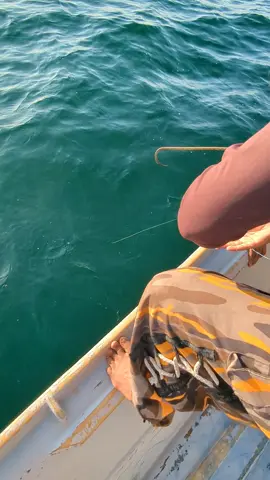 king fish#foryoupage❤️❤️ 