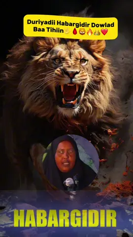 Maamo Ilaahey haku Xafido Sidaa Wax walbo kuso gaarey Mgacaas Dartiis Ugu Samirtay🫶🏻👑❤️#Tiktok #Habargidir #Gabay #Galmudug #habargidirnimo🤍💚💙💋 