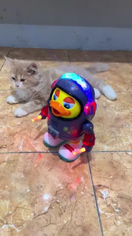 Mainan robot bebek luar angkasa joget #mainananak #mainanviral #mainanrobotbebekastronotjoget 