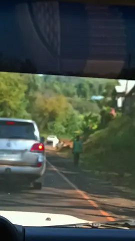 #sundayvibes #beshasha #agaro @Brothers Trading PLC 