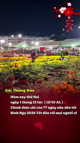 77 ngày nữa đến tết bính ngọ 2026 #tet #tetnguyendan #xuhuong #tetbinhngo #viral 