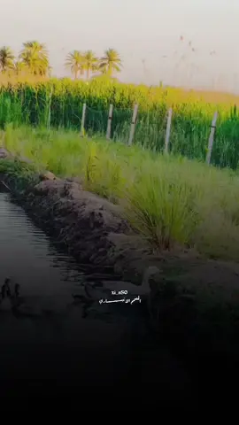 فتشنه بصفات الماي واوادم عرفناها#تصميمي❤️ #fyp #viralvideo #