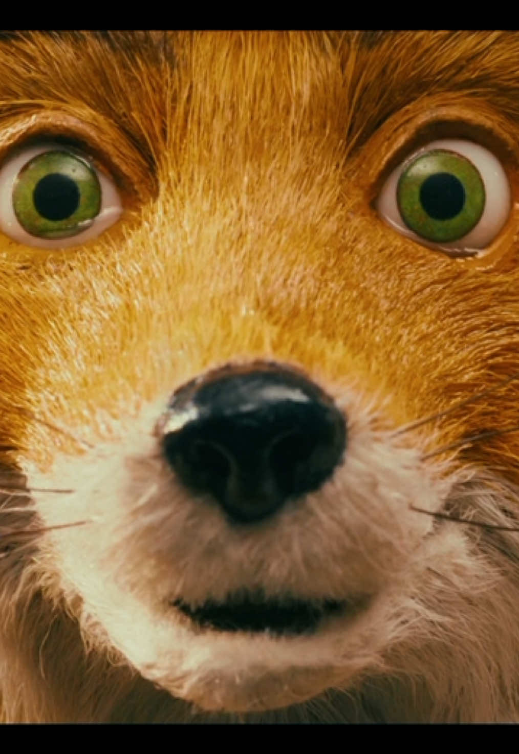 “Because im a wild animal” ||#fantasticmrfox #fantasticmrfoxedit #sheandhim #fyp #viral  