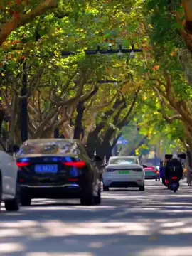 早安☀️。。。#CapCut #xuhuong #trending #hoctiengtrung #tiengtrungmoingay