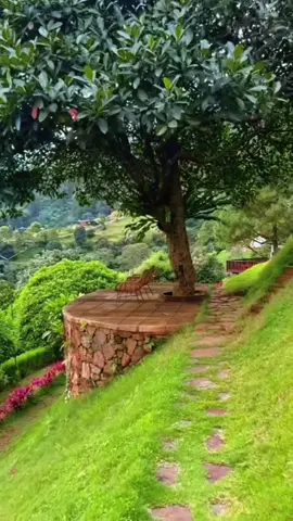 #اكسبلور #تلاوه_خاشعه 