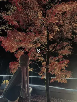 #CapCut My fall 2025 🍁 #momiji #falljapan