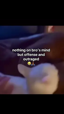 he’s plotting #foryou #fyp 