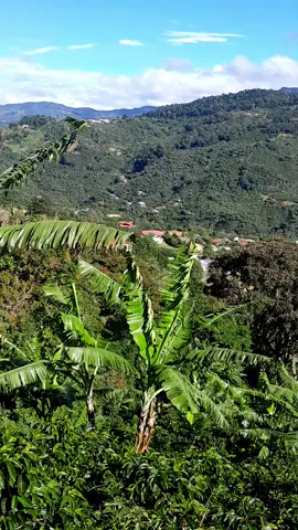 😅humor# complacencia de radio muleto🐇🐰🐰esterio #😅😅😅😅😅😅 humor ngobe viral para tiiiiiiiiiii