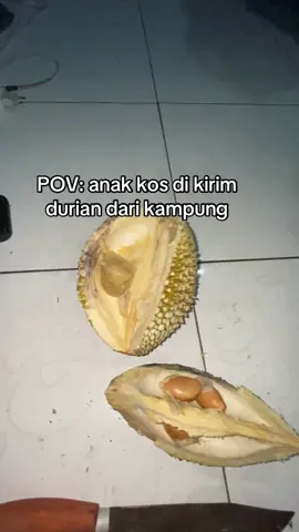 seronok nye walaupun tidak bisa berpetualang ke pohonya #durian #trending #masukberanda #viralvideo #foryoupage 