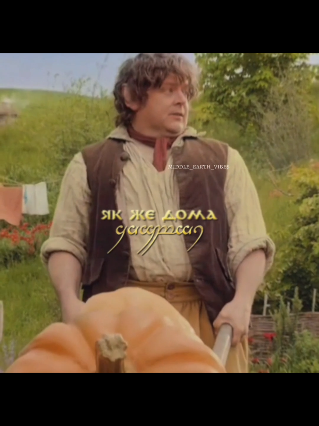 #lordoftherings #володарперснів 