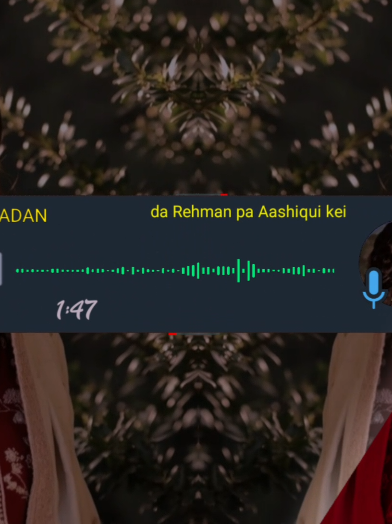 da Rehman pa aashiqui kei🎵🤍🇺🇲🎶🎼#foryoupaga #pashtosong #goviral #growmyaccount #videoviraltiktok 
