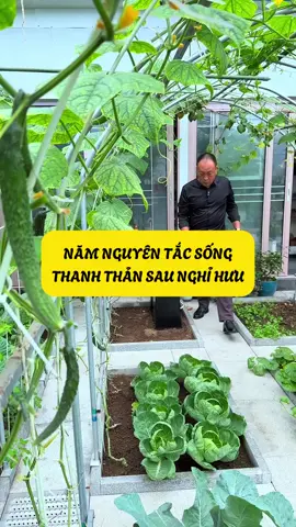 Năm Nguyên Tắc Sống Thanh Thản Sau Khi Nghỉ Hưu ............. #lamvuon #binhyen #chiasekinhnghiem #trongrau  #phanbonhuuco