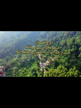 #ahmadamer2311 #amer231179 #راحة_نفسية #راحه #اكسبلور 