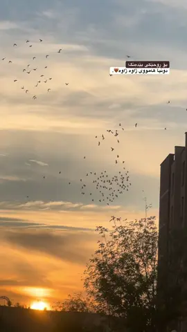 7:27🤎🪐 #lu4aaaa 