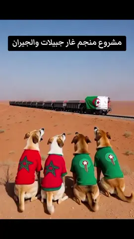 مشروع منجم غار جبيلات في تيندوف الذي سيكون نصيب الجيران منه الكثيييير من الغبار #francetiktok🇨🇵 #england🇬🇧 #morocco🇲🇦 #algeria🇩🇿 #PaidPartnership 