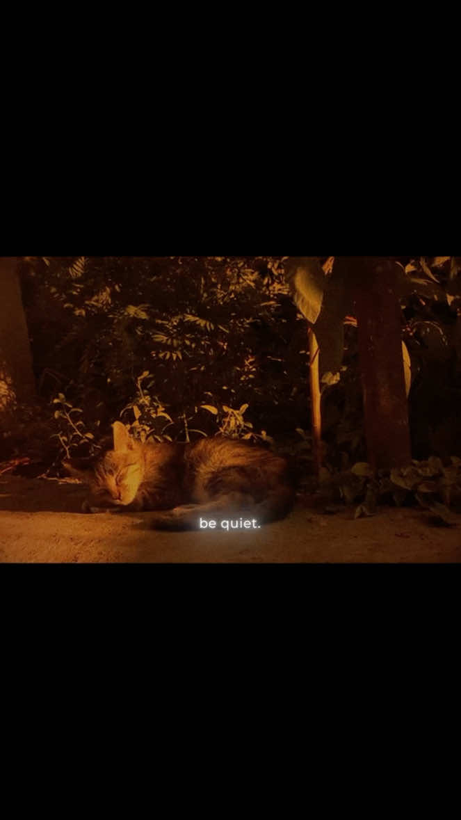 Don’t speak while you’re angry. - IG: @deenity.co - #islamicquotes #islamicpoetry #deenity #muslim #islam 