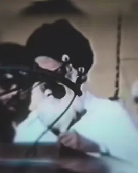 على نيتي ،، || #سيدمحمدالصدر #سيدمقتدىالصدر #مقتدى_الصدرأعزه_الله #مقتدىالصدر #تصميم_فيديوهات🎶🎤🎬 @الـبَـيـان - ALBYAN 