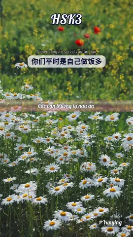 你们平时是自己做饭多，还是出去吃多呢？ #中国 #giaotieptiengtrung #tiengtrung #tiengtrungmoingay #中文 