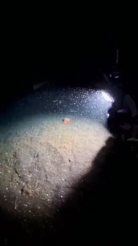 #سعود_الفايز 