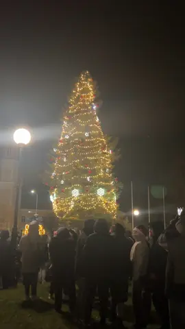 1 Адвент  30.11.2025 #sillamae #елка #зазжениеелки  