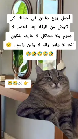 #Meme #MemeCut #CapCut  #viraltiktok #viral  @ضحك وتمهبيل شرات والمعاني✌ 