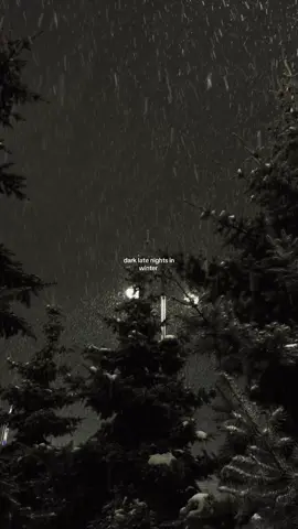 🌨️ beautiful 🖤 #darkacademia #darkaesthetic #winter #snow #fyp 