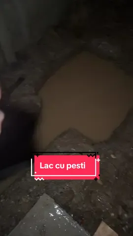 Mă rezolvat ploaia 😀 #ploaie #snagov #pesti #bazin #drenaj