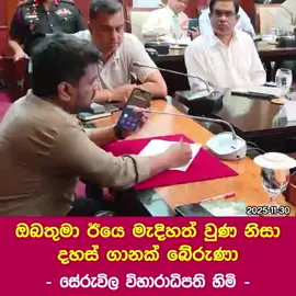 සේරුවිල ලොකු හාමුදුරුවෝ