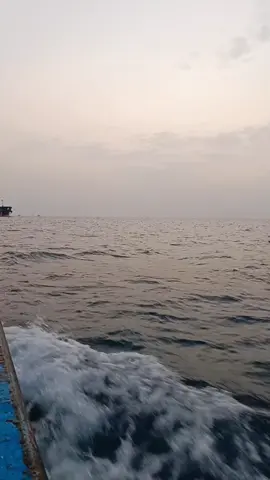 #القبطان👮‍♂️🦅🇪🇬⚓ #البحارة_⚓🌊🐟🐬 